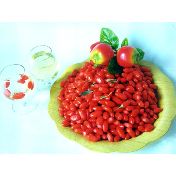 Sunshine Super Fruit Secas Goji Berries-280 Grãos / 380grains / 580grains / 680grains